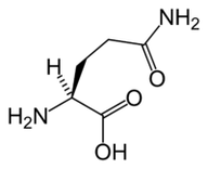 Keto Diet میں L-glutamine